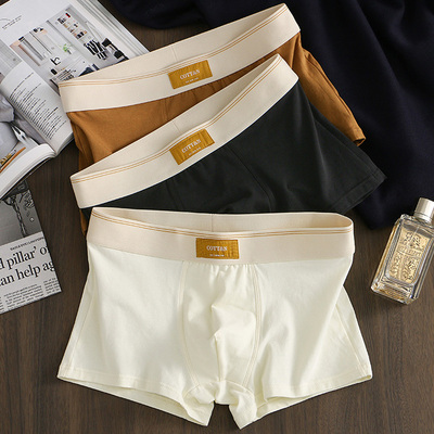 内裤纯棉男式四角春季