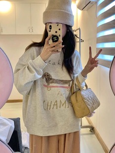 慵懒风宽松显瘦潮ins无帽长袖 港风chic灰色圆领卫衣女冬大码 上衣
