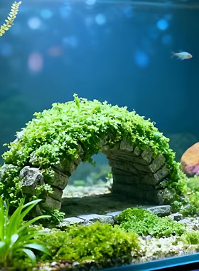 迷你高珍珠拱桥鱼缸水草特色造景前景懒人水培增氧活体水陆缸水草