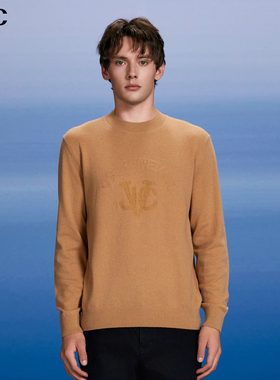 VJC/威杰思2025秋冬新款男装软糯山羊绒长袖针织衫B24DC2216