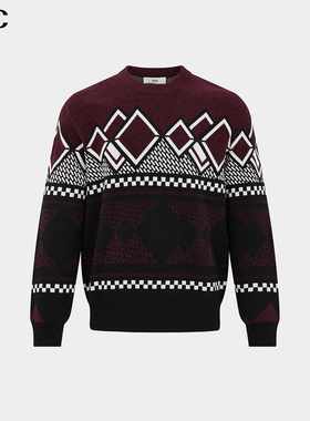 VJC/威杰思2025秋冬新款男装混纺羊毛针织衫圆领套头