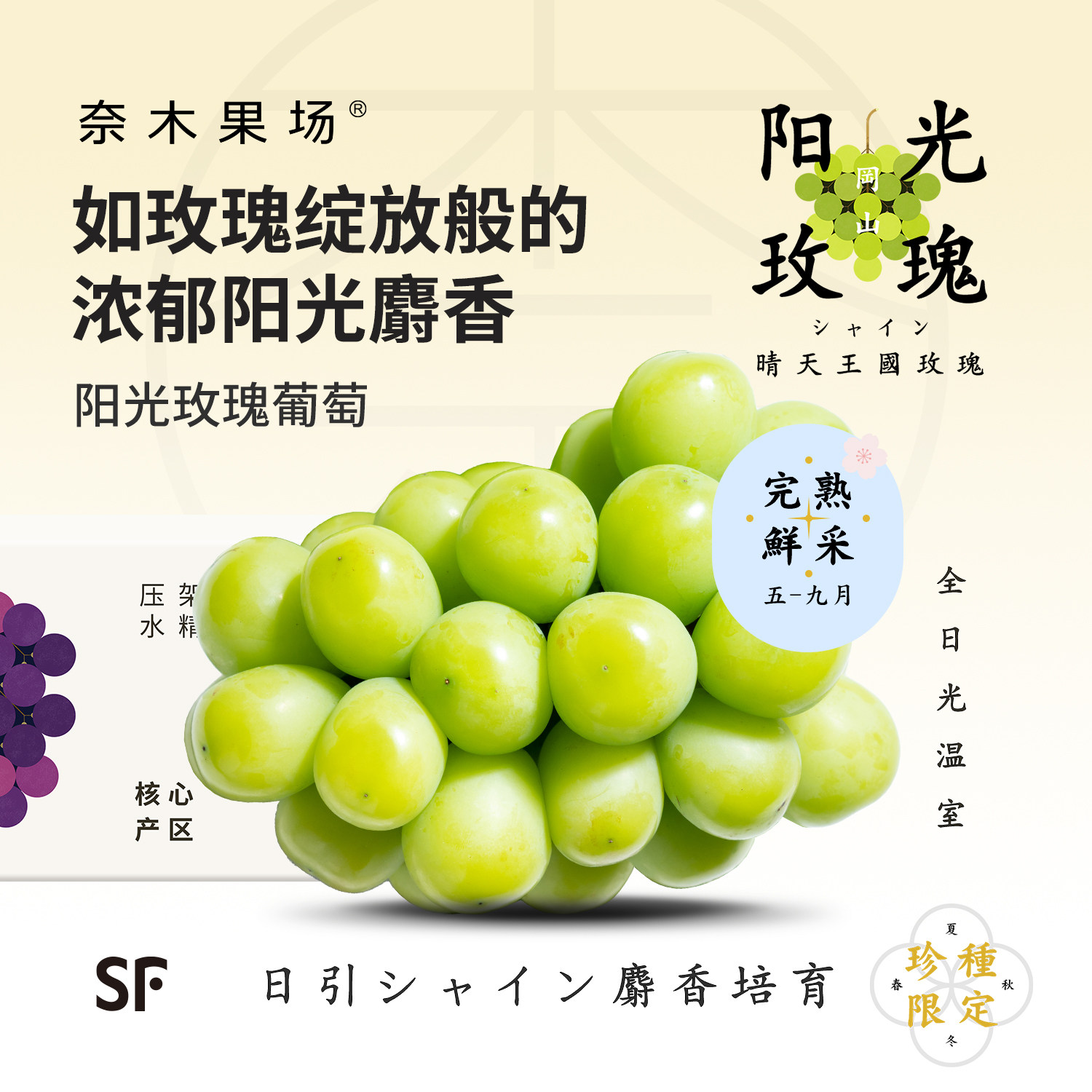 奈木果场特级云南阳光玫瑰葡萄麝香晴王青提整串现摘顺丰特快礼盒 - 实物图