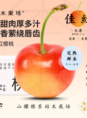 【4月初】奈木果场大连佳红樱桃5J特级调温棚高甜脆嫩多汁sf礼盒
