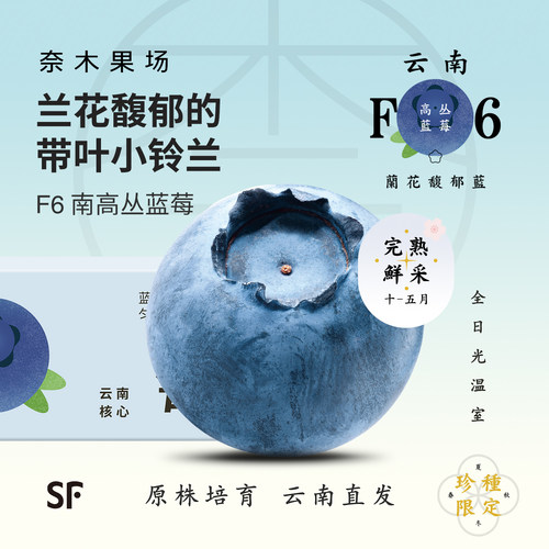 F6云南蓝莓兰花馥郁香高原稀种sf