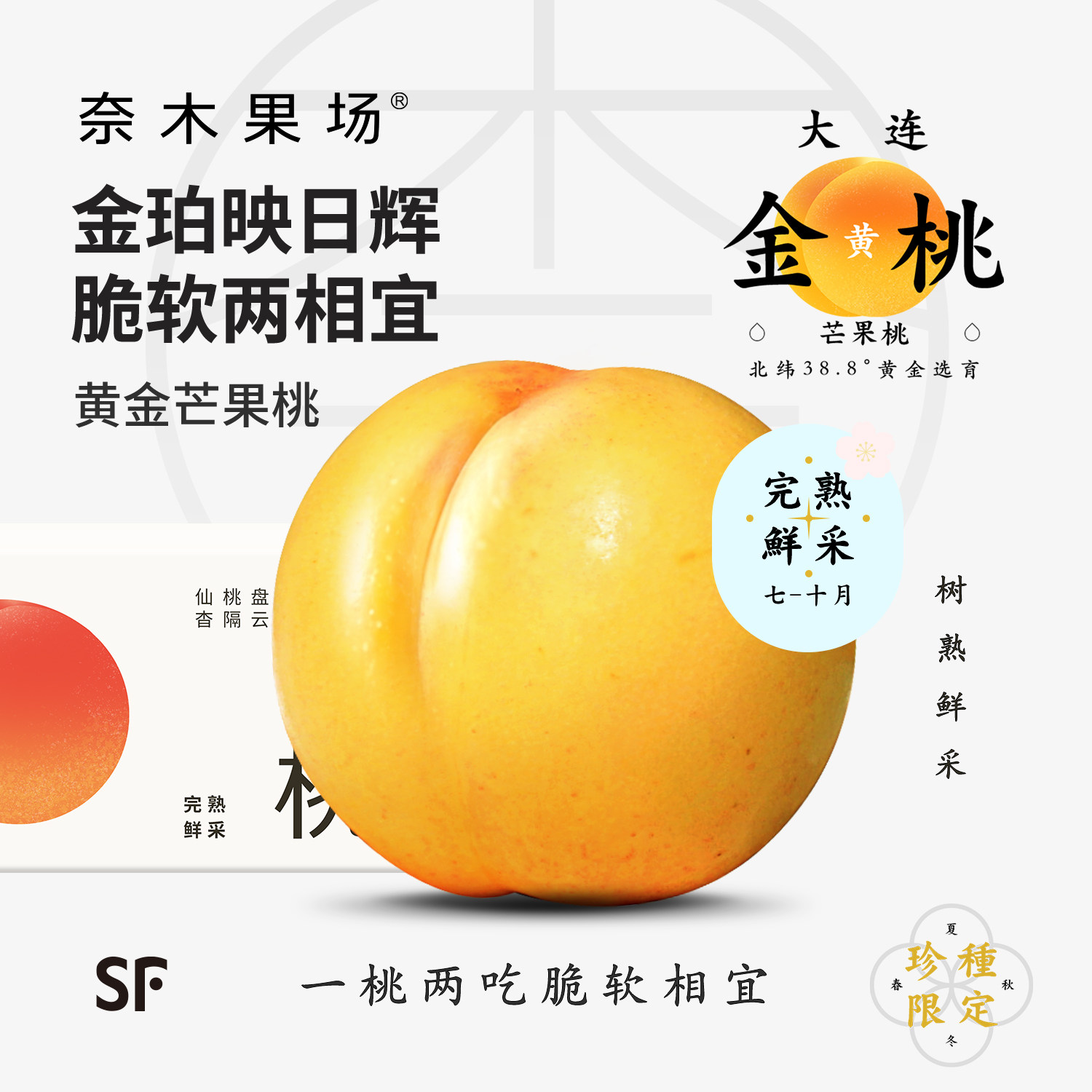 奈木果场特级芒果金桃大连清甜浓郁脆软香甜树熟黄芒果桃sf礼盒装