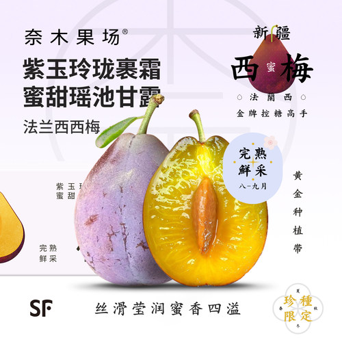 奈木果场新疆特级法兰西西梅紫玉玲珑寒露蜜甜瑶池甘露李子sf礼盒