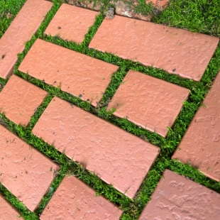 黄缘龟地砖紫砂陶泥透气保湿手工砖造景装饰专用小红砖