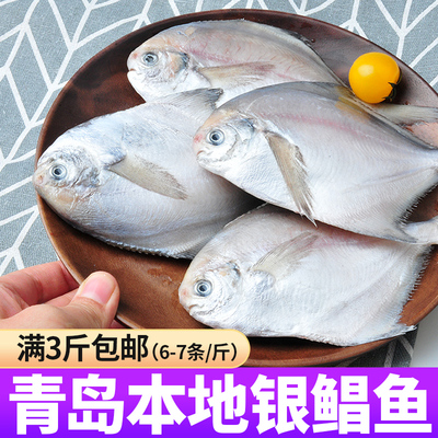 1斤6-7条鲳鱼新鲜冷冻特大银鲳鱼