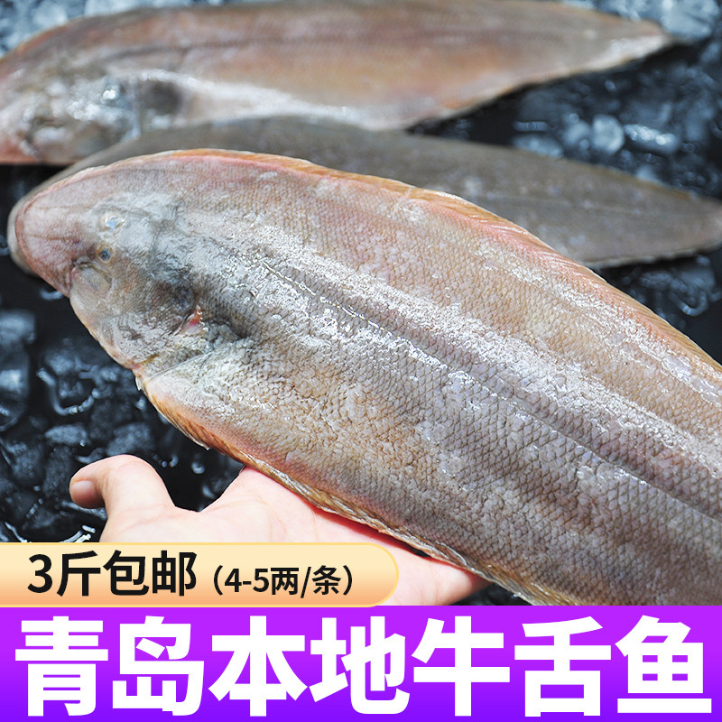 3斤4-5两/条 带皮真龙利鱼鲜活新鲜冷冻踏板鱼海鲜宝宝辅食舌头鱼