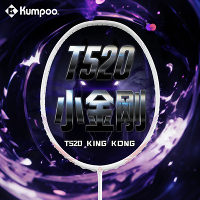 熏风T520羽毛球拍K520pro