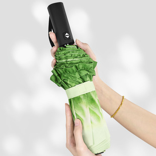 蔬菜白菜雨伞晴雨两用全自动雨伞折叠伞高级感时尚伞创意礼品伞