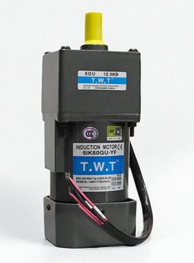 东炜庭TWT电机5IK60GU-YF 5GU20 30 40 50 60 75KB齿轮减速马达