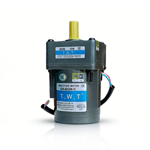 C减速机5GN10K齿轮减速马达单相220V 台湾东炜庭TWT电机5IK40GN