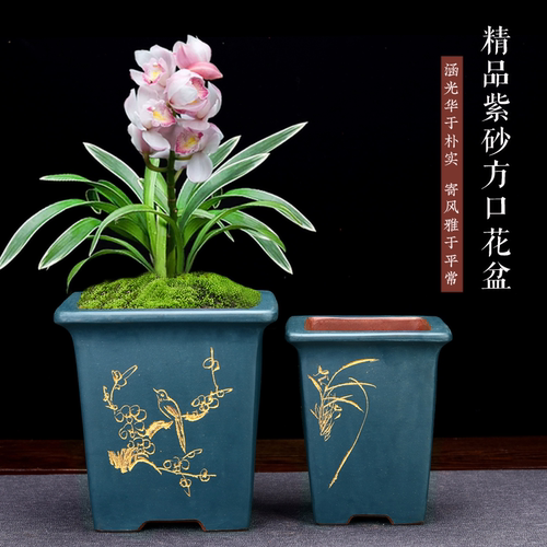 正方形紫砂兰花盆精品陶瓷文竹老桩阳台松柏蝴蝶兰简约古典中国风 - 封面