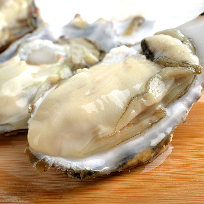 正宗乳山生蚝鲜活特大牡蛎带壳生吃海蛎子新鲜海鲜水产10斤顺丰