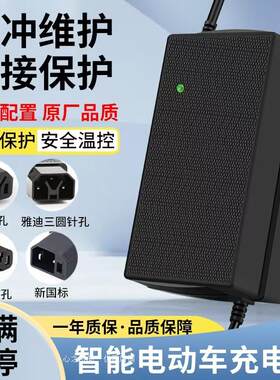 适用博技蒙阳明鑫金城帝隆电动三轮车充电器48v12a60v20ah72v通用