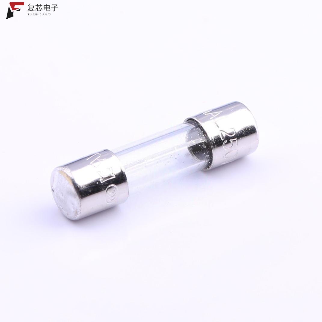 原厂正品0218.100MXP全新100mA 250V 延时型
