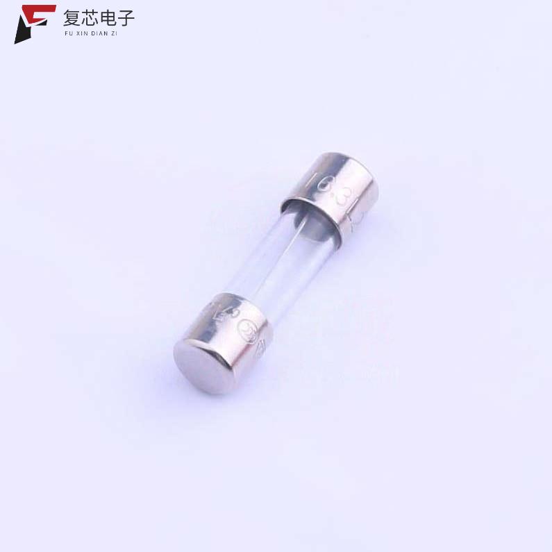 原厂正品5T.6300220000R1全新一次性保险丝 250V 6.3A