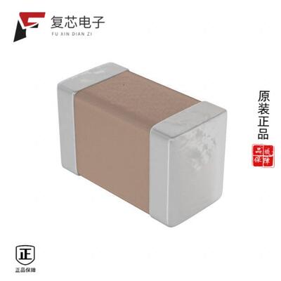 全新正品TDCF250W102K1GV001T|TDCF250G221J1GV001T