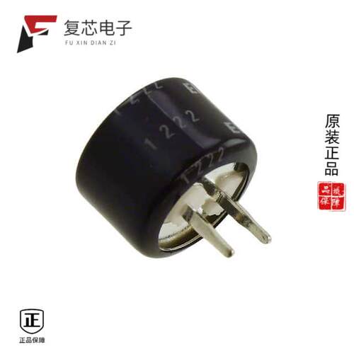 全新正品RSCHL2245R5G09014GT|RSCH16845R5L09015T