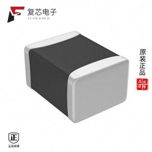 OHM 原厂正品 BEAD 1210 BLE32PN300SN1L全新FERRITE