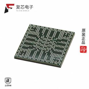 PROCESSOR 原厂正品 MEDIA DGTL DM8107AAAR21全新IC