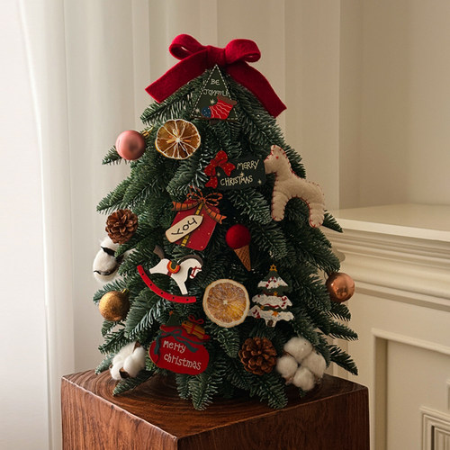 2025新款圣诞节装饰家用