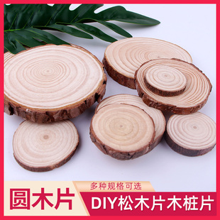 微观模型小木桩 圆木片diy 手绘装饰 原木片 松木片 木头拍摄道具