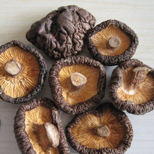 云南野外生香菇 干货好蘑菇  肉厚香甜可口 新冬菇小香菇