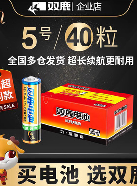 双鹿碱性金装电池5号五号aa7号七号aaa遥控器干电池遥控儿童玩具