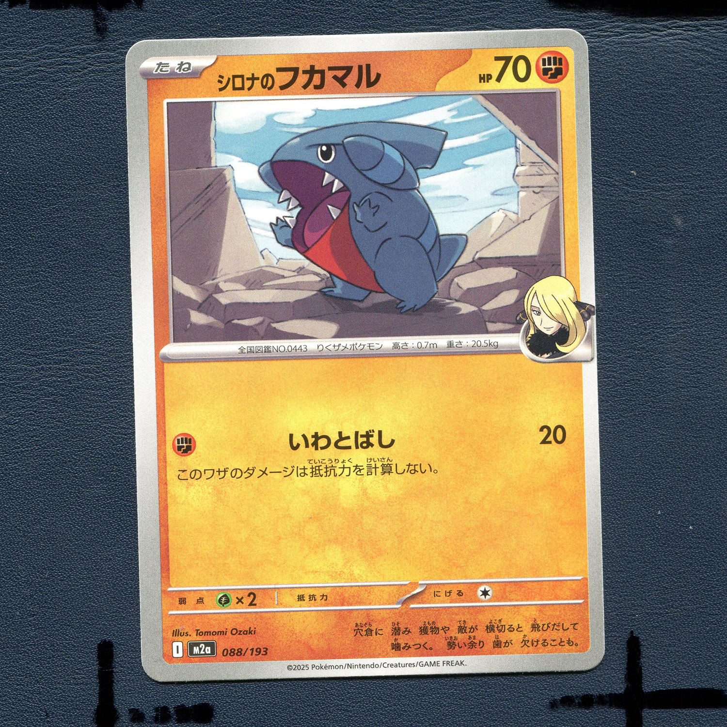 宝可梦PTCG正版卡牌 超级梦想EX 竹兰的圆陆鲨 M2A-088 日版