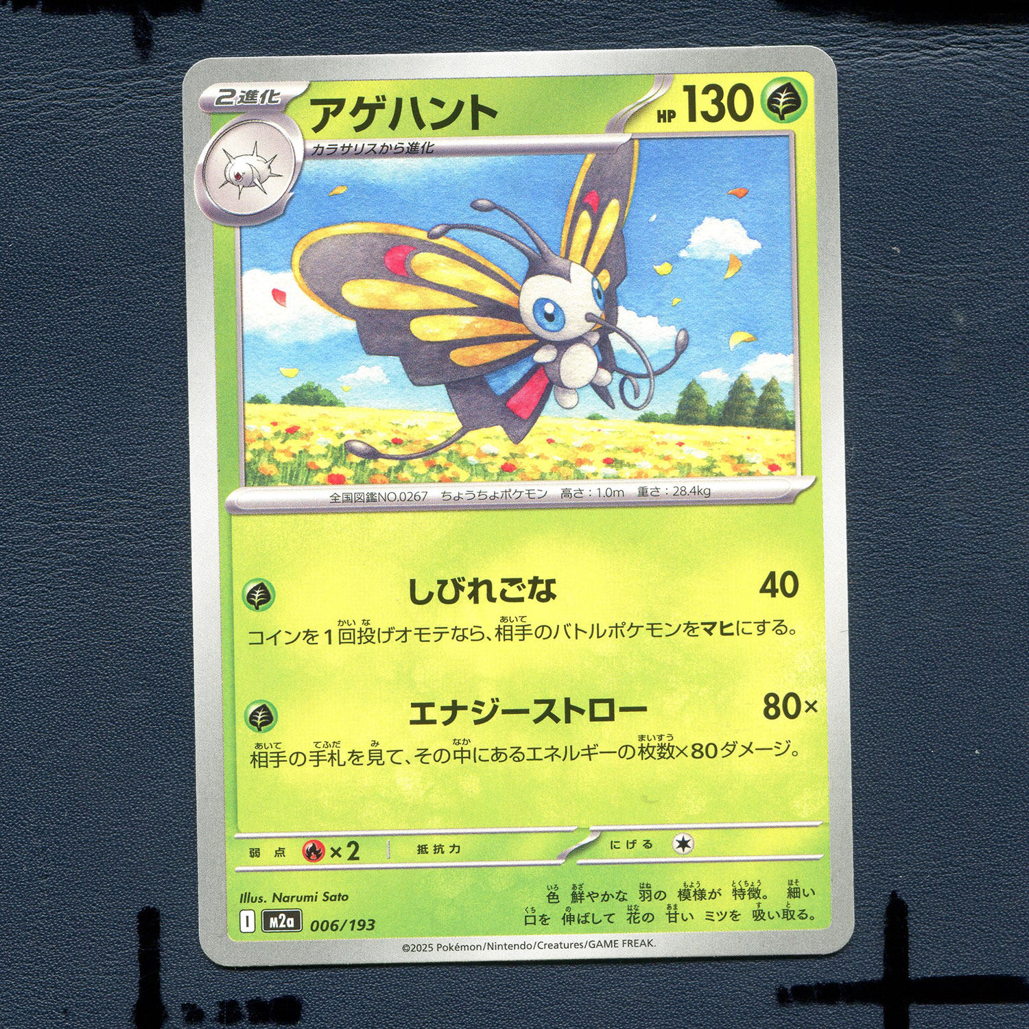 宝可梦PTCG正版卡牌 超级梦想EX 狩猎凤蝶 M2A-006 日版