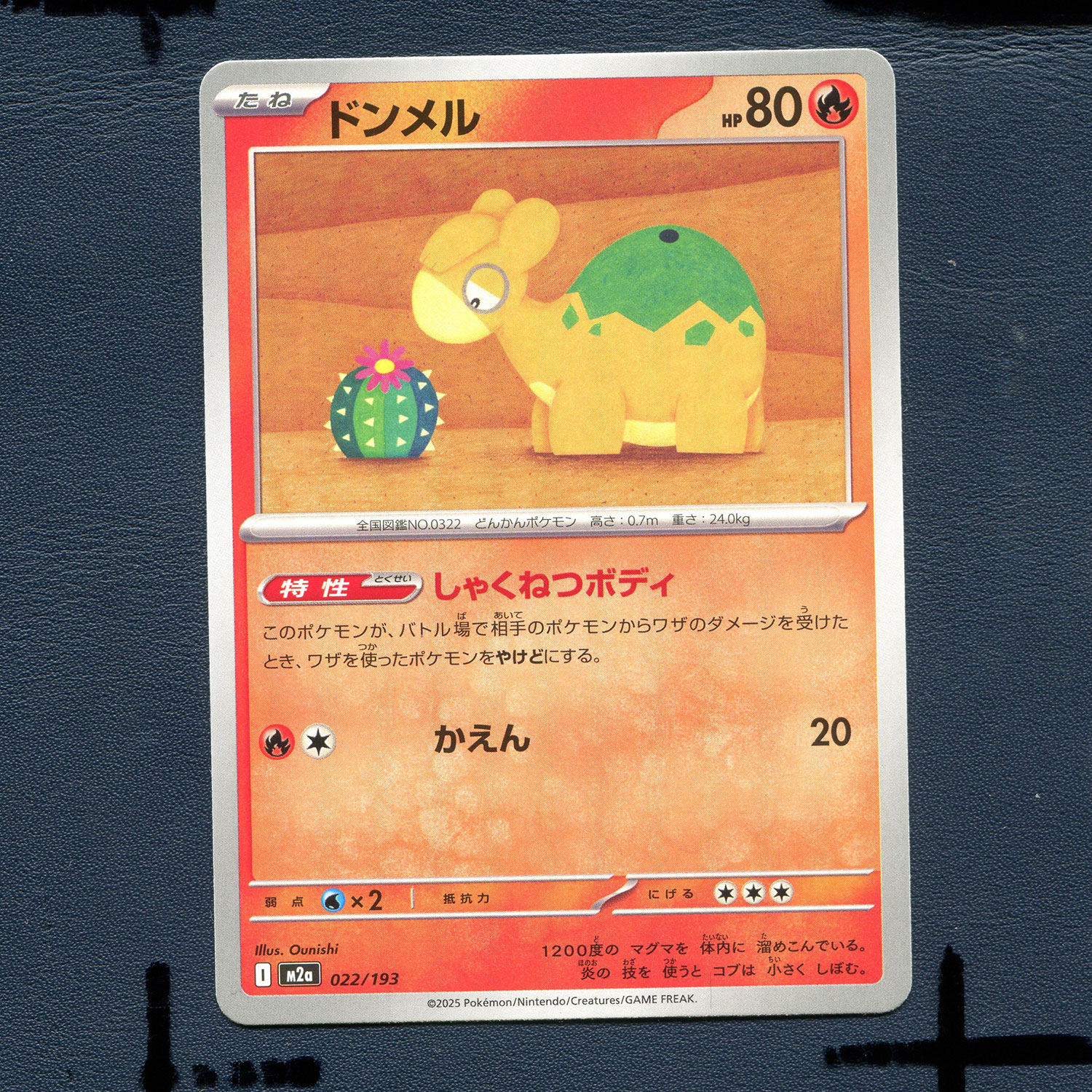 宝可梦PTCG正版卡牌 超级梦想EX 呆火驼 M2A-022 日版