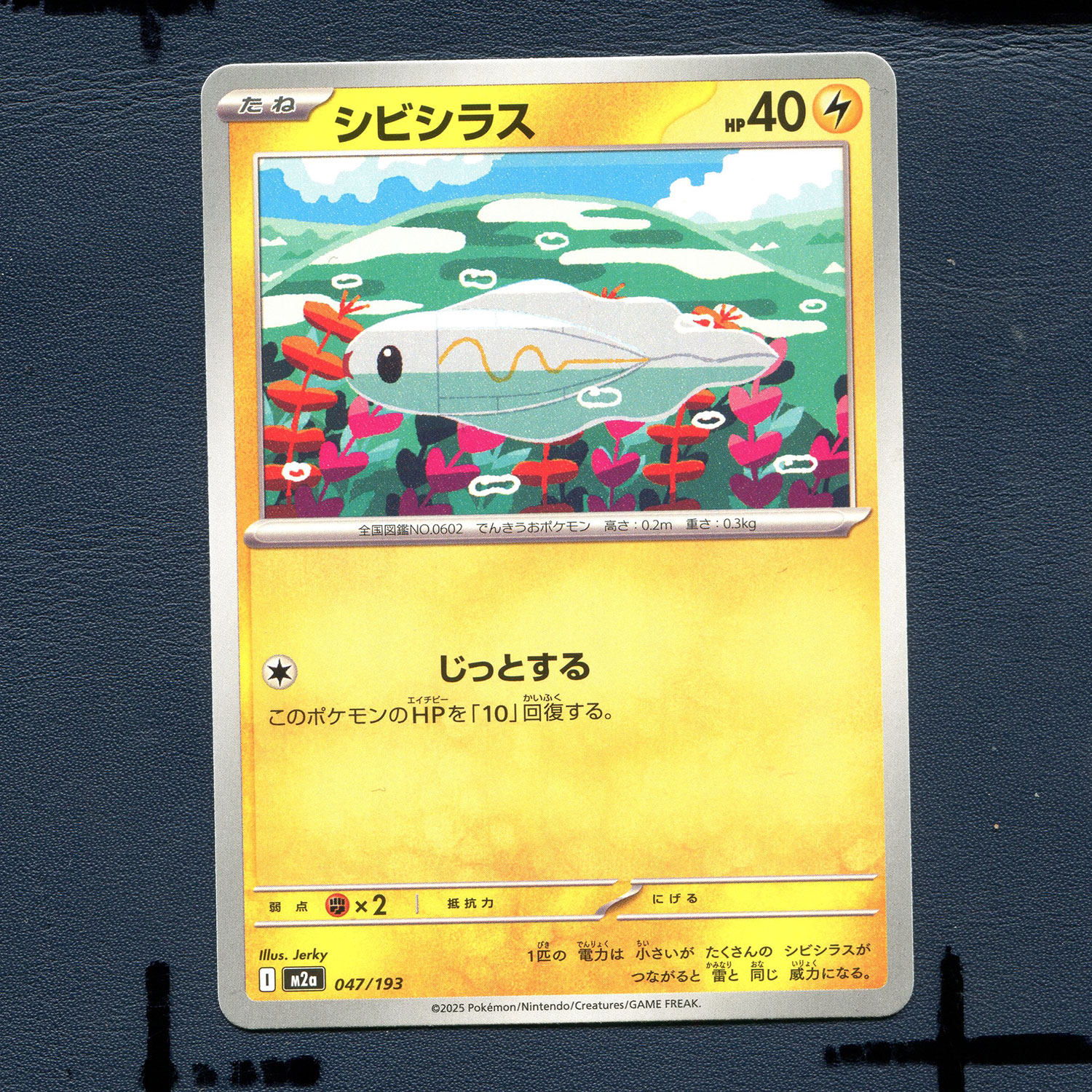 宝可梦PTCG正版卡牌 超级梦想EX 麻麻小鱼  M2A-047 日版