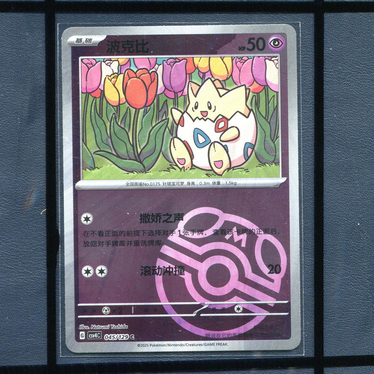 pokemon宝可梦 波克比 CSV4C-045 大师球 简中正版单卡