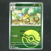 正版 CBB4C 卡牌 树林龟 0802 宝石包4.0 宝可梦PTCG