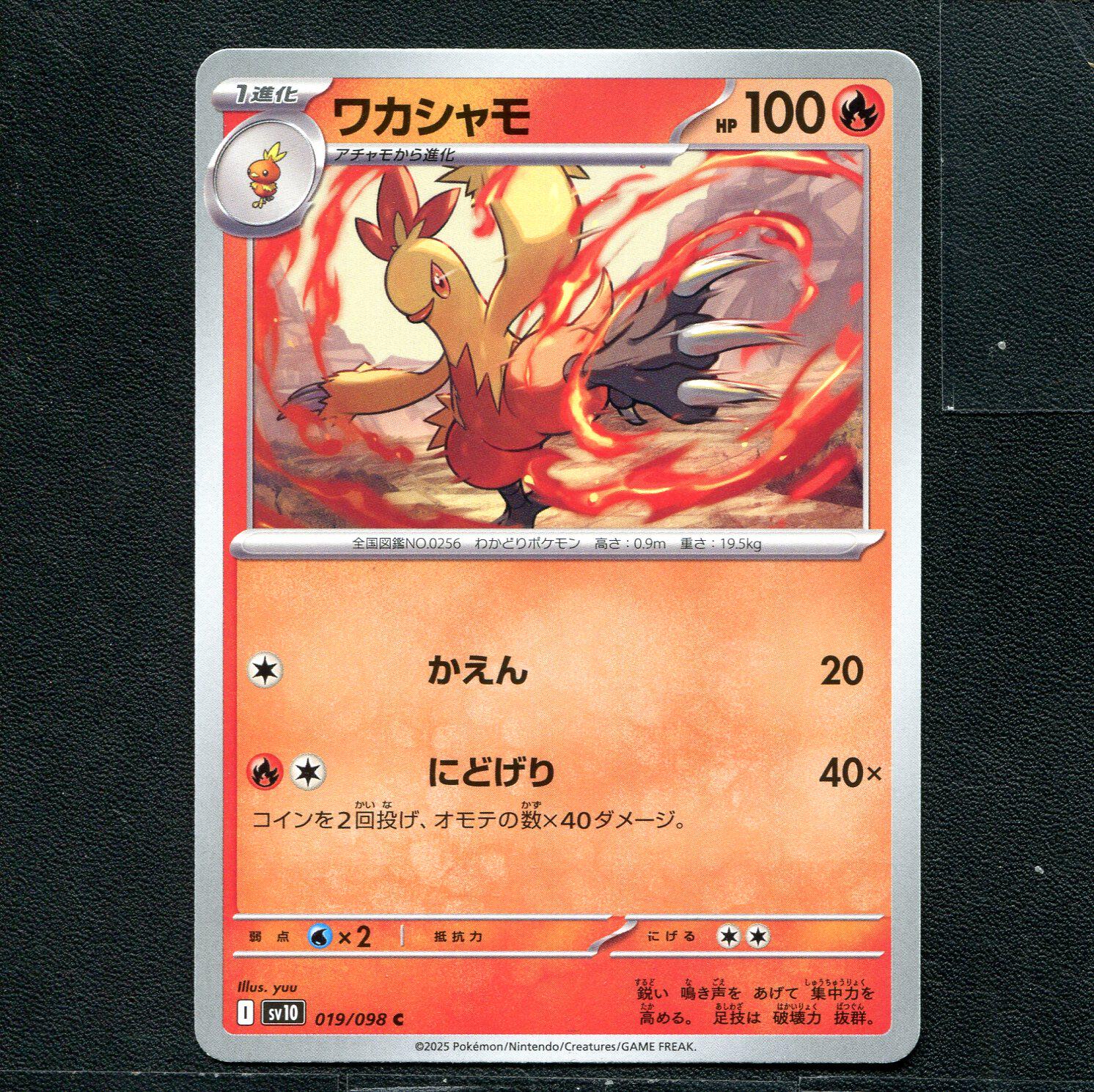 宝可梦 PTCG 正版卡牌 火箭队的荣耀 力壮鸡 SV10-019 日版