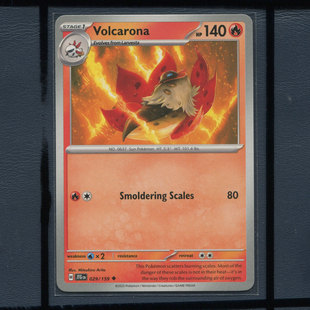 宝可梦美版英文版国际版 同行之旅 火神蛾 JTG-029