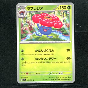 宝可梦 ptcg 正版卡牌 烈狱狂火X 霸王花 M2-003 日版