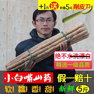 一头老黄牛河北小白嘴山药淮山药怀山药新鲜麻山药非铁棍生吃