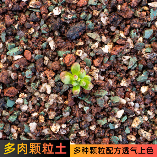 多肉颗粒土透气配方营养