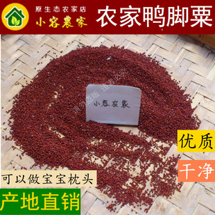 广西农家鸭爪粟新鲜红黄粟米鸭脚粟五谷杂粮一级小婴儿枕头料拳粟