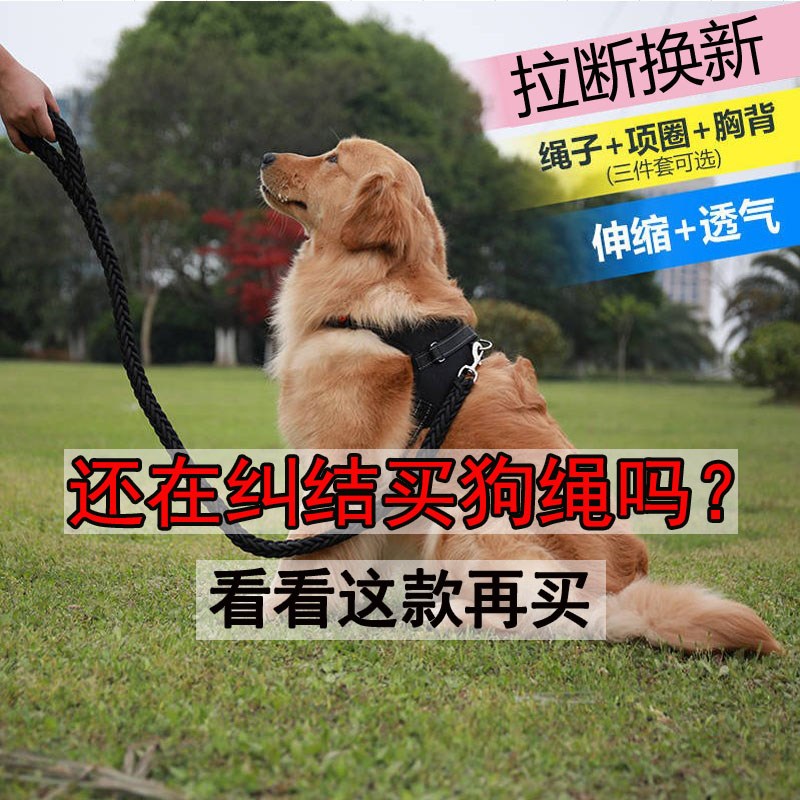 狗链子铁链中大型犬加粗加长狗狗牵引绳金毛阿拉斯加萨摩耶遛狗绳