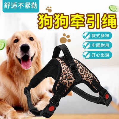 狗狗牵引绳套装中型大型犬专用项圈德牧金毛阿拉斯加防爆冲狗链子