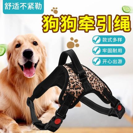 狗狗牵引绳套装中型大型犬专用项圈德牧金毛阿拉斯加防爆冲狗链子