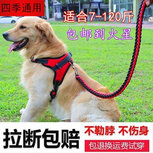 宠物狗狗胸背带牵引绳链子中大型犬狗绳金毛萨摩纯色尼龙编织套装