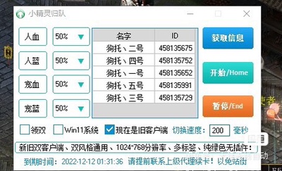 大话西游2经典版小精灵全自动归队最新多功能归队支持新端-永久卡