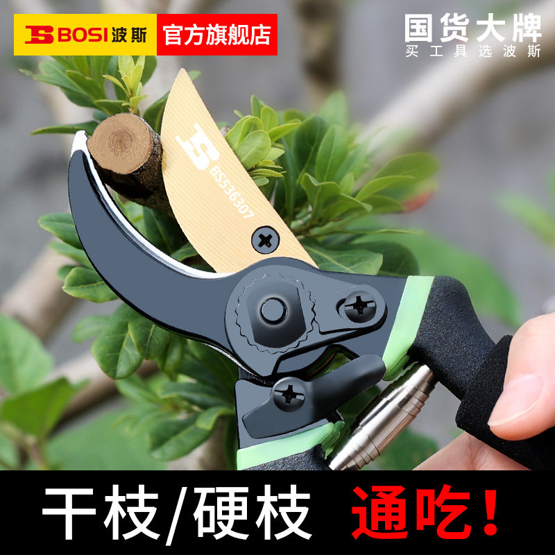 波斯修枝剪园艺剪刀剪树枝专用剪刀园林修剪果树修枝花艺修花剪刀图片