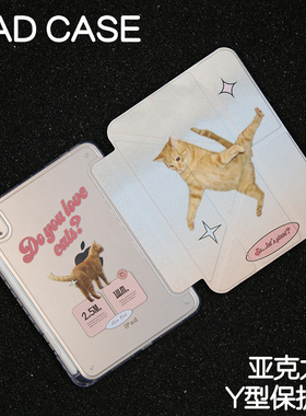 橘猫Y型亚克力ipad7/8/9保护套2025款Air7硬壳Air5/6苹果pro11/10.9平板壳iPad10.2/12.9寸防弯摔笔槽mini6/7