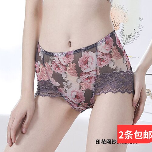印花网纱内裤中腰蕾丝
